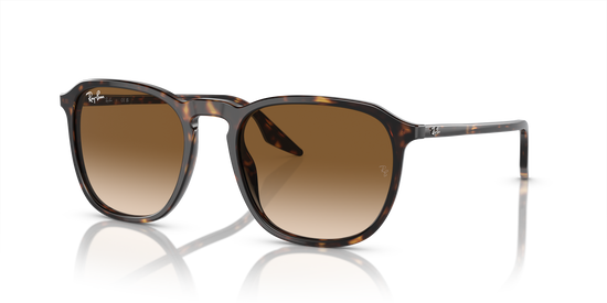 Ray-Ban Sunglasses RB2203 902/51