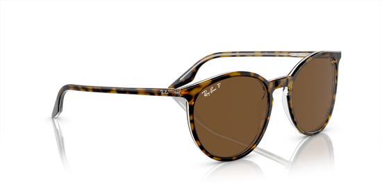 Ray-Ban Sunglasses RB2204 139357