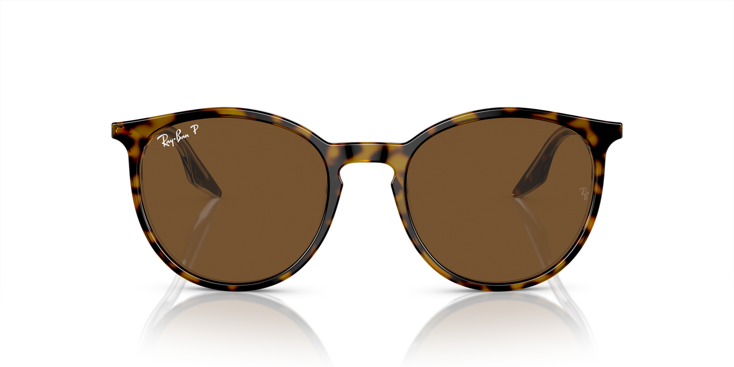 Ray-Ban Sunglasses RB2204 139357