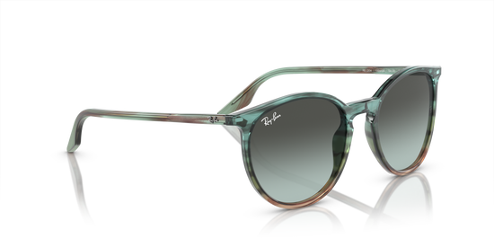 Ray-Ban Sunglasses RB2204 1394GK