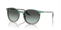 Ray-Ban RB2204 1394GK