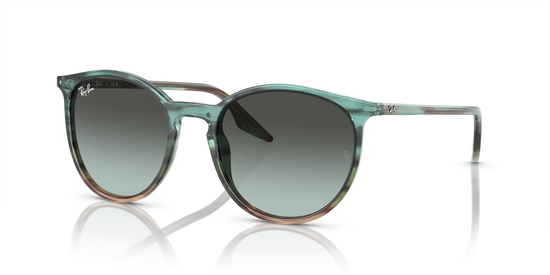 Ray-Ban Sunglasses RB2204 1394GK