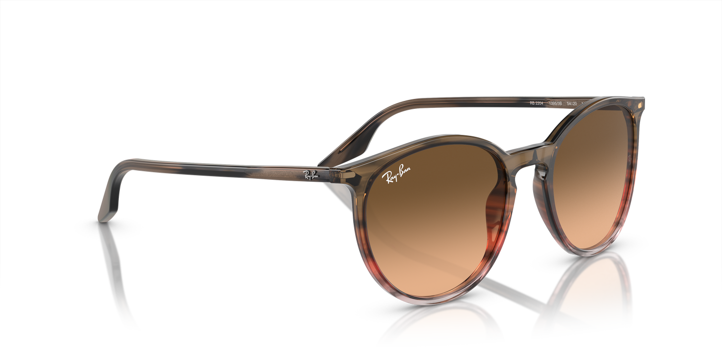 Ray-Ban Sunglasses RB2204 13953B