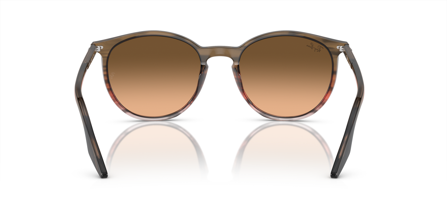 Ray-Ban Sunglasses RB2204 13953B