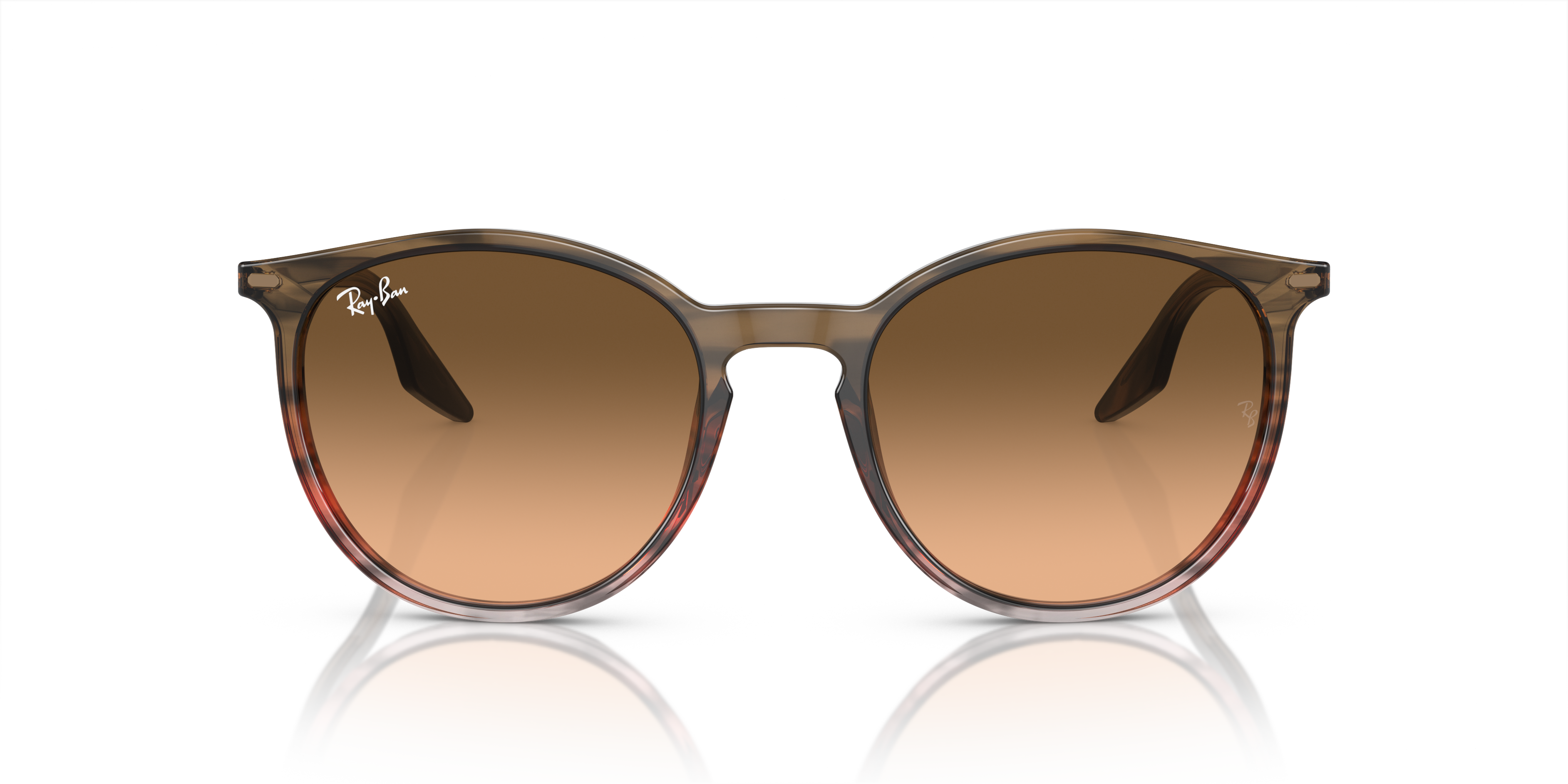 Ray-Ban Sunglasses RB2204 13953B