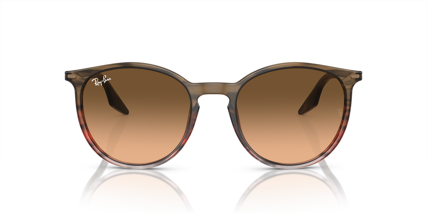 Ray-Ban Sunglasses RB2204 13953B