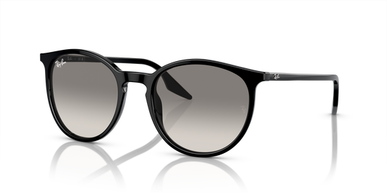 Ray-Ban Sunglasses RB2204 901/32