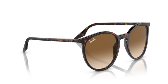 Ray-Ban Sunglasses RB2204 902/51