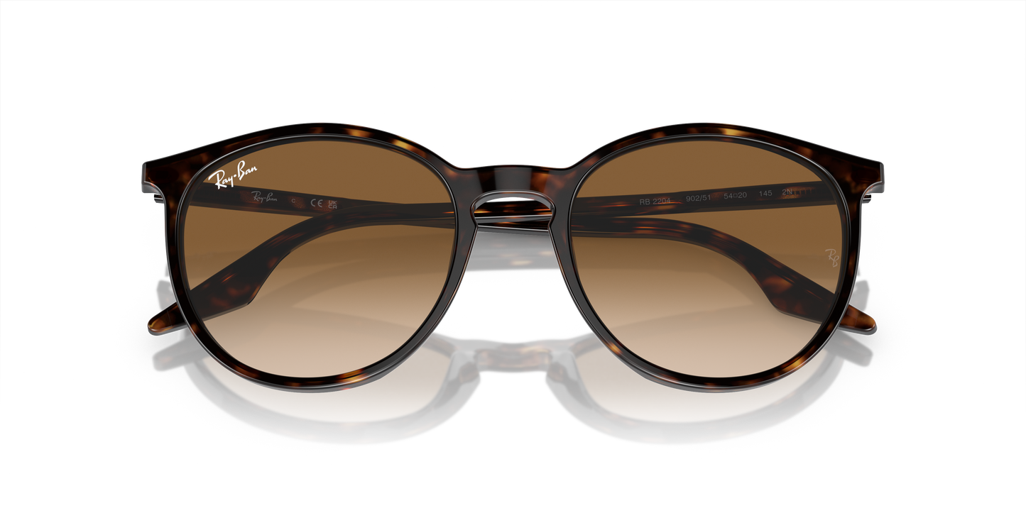 Ray-Ban Sunglasses RB2204 902/51