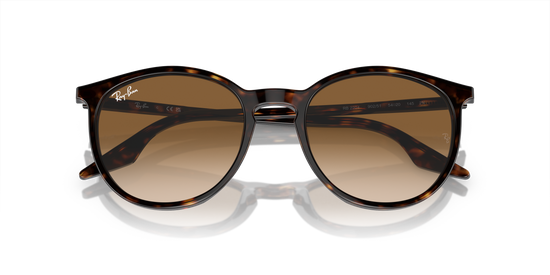 Ray-Ban Sunglasses RB2204 902/51