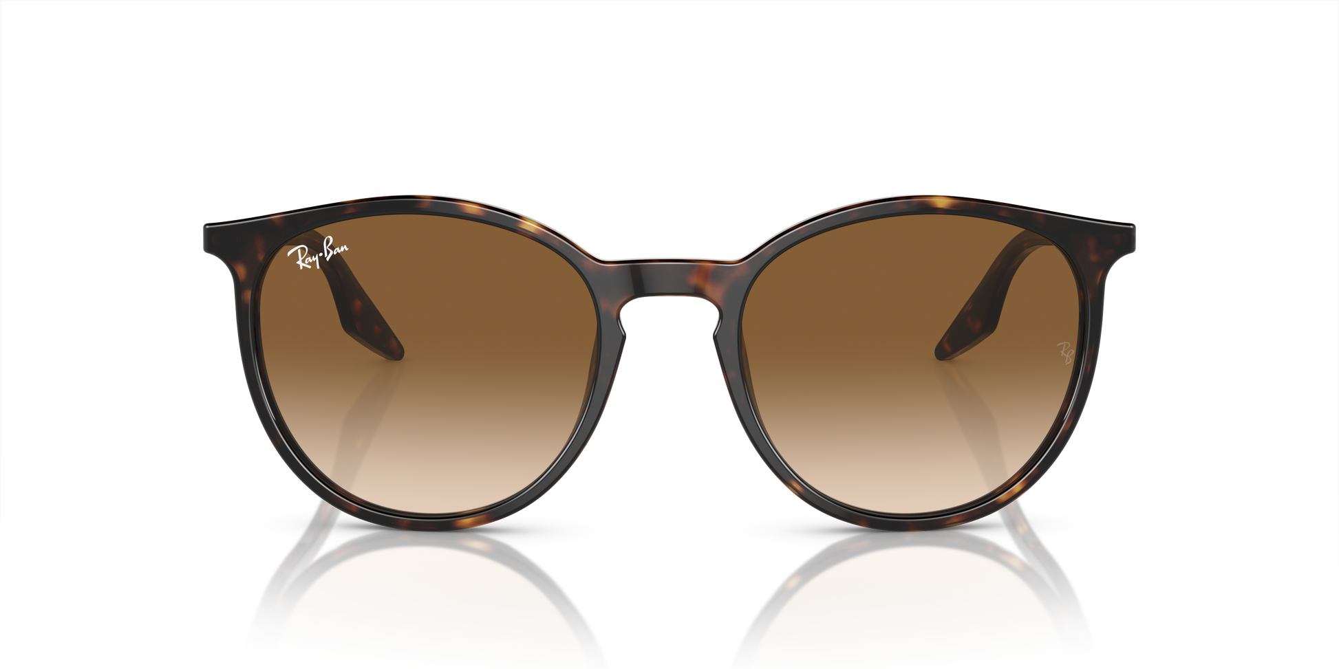 Ray-Ban Sunglasses RB2204 902/51