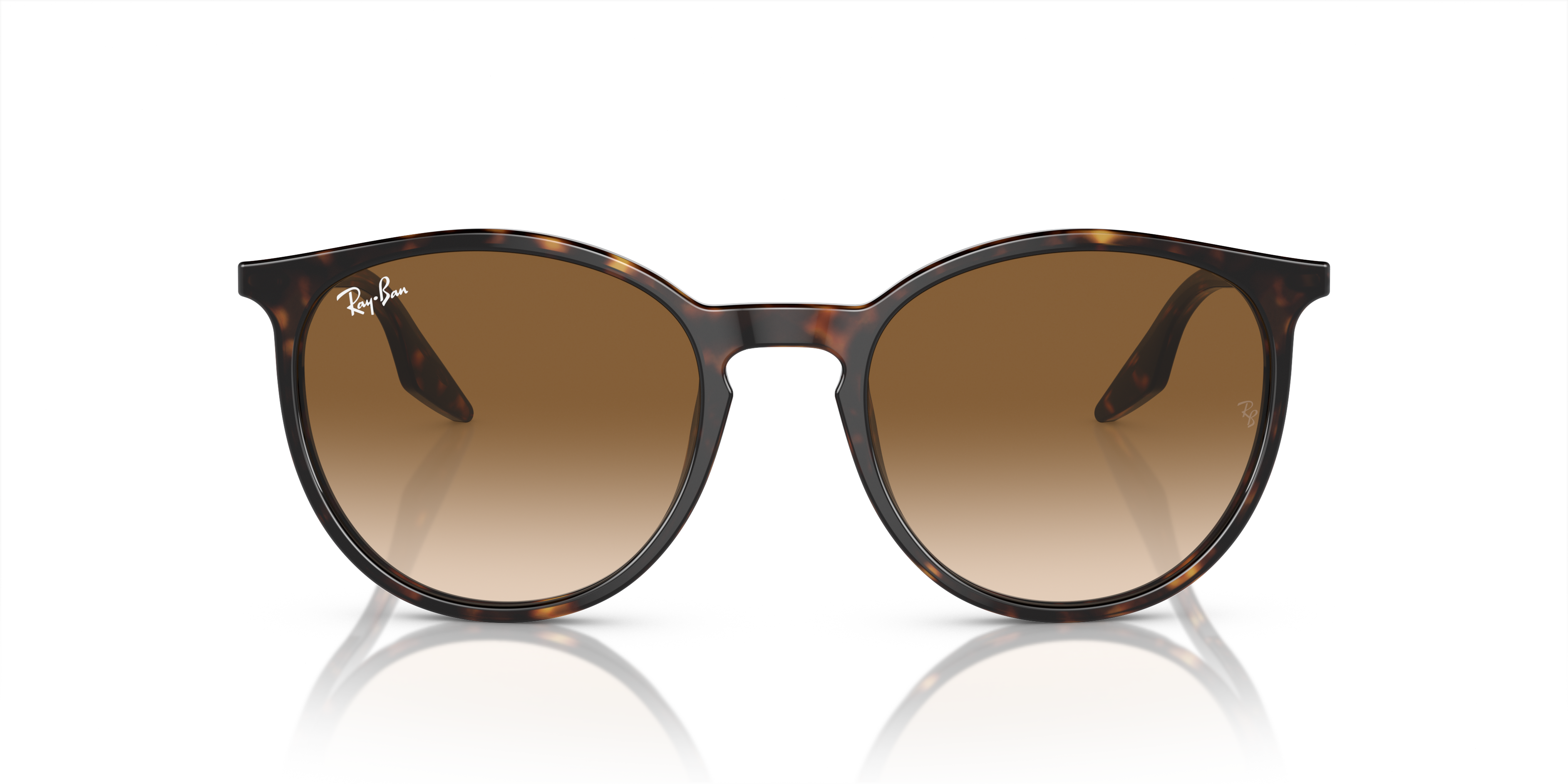 Ray-Ban Sunglasses RB2204 902/51