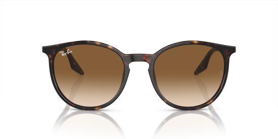 Ray-Ban Sunglasses RB2204 902/51