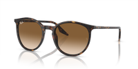 Ray-Ban RB2204 902/51
