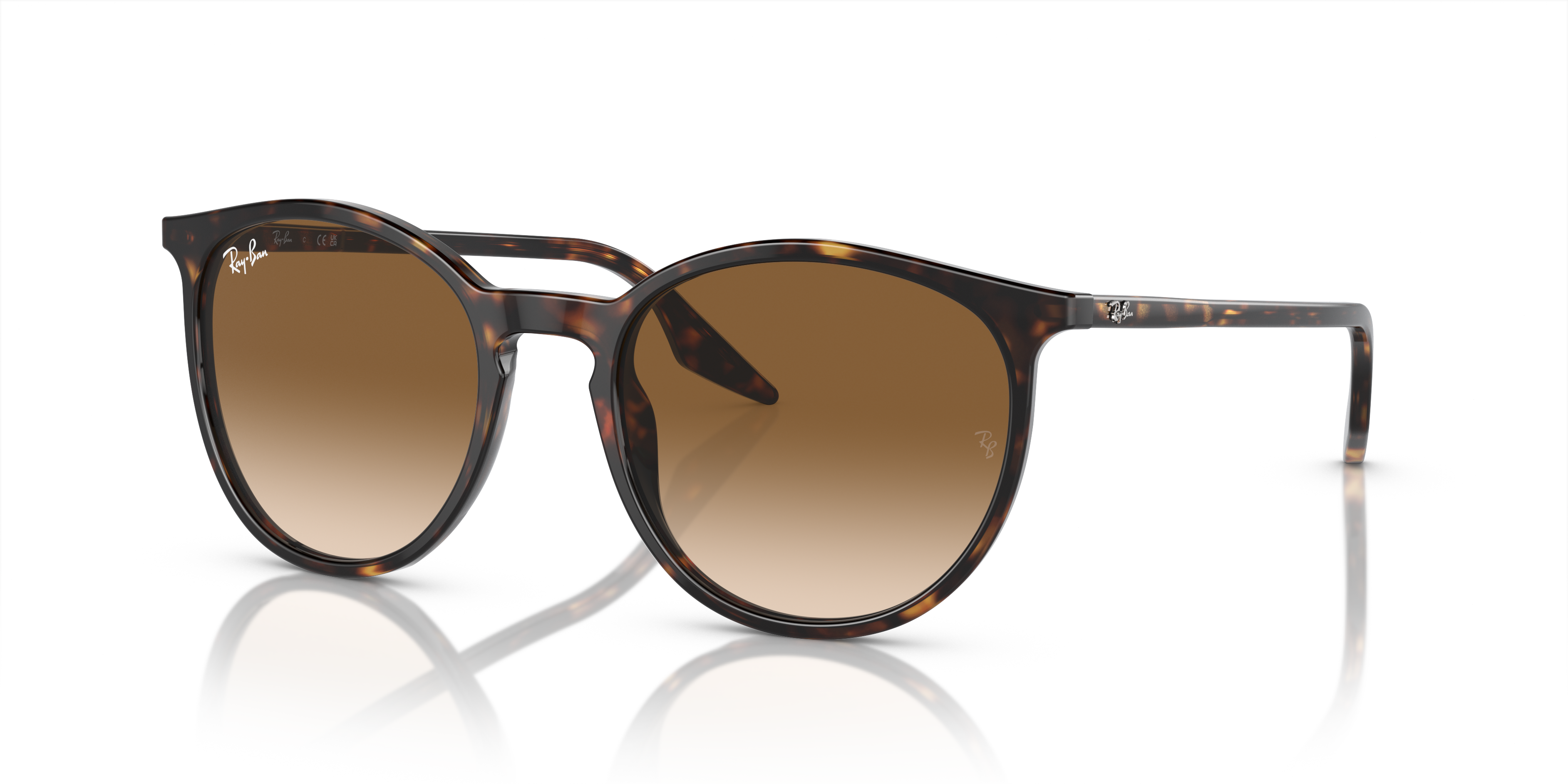 Ray-Ban Sunglasses RB2204 902/51