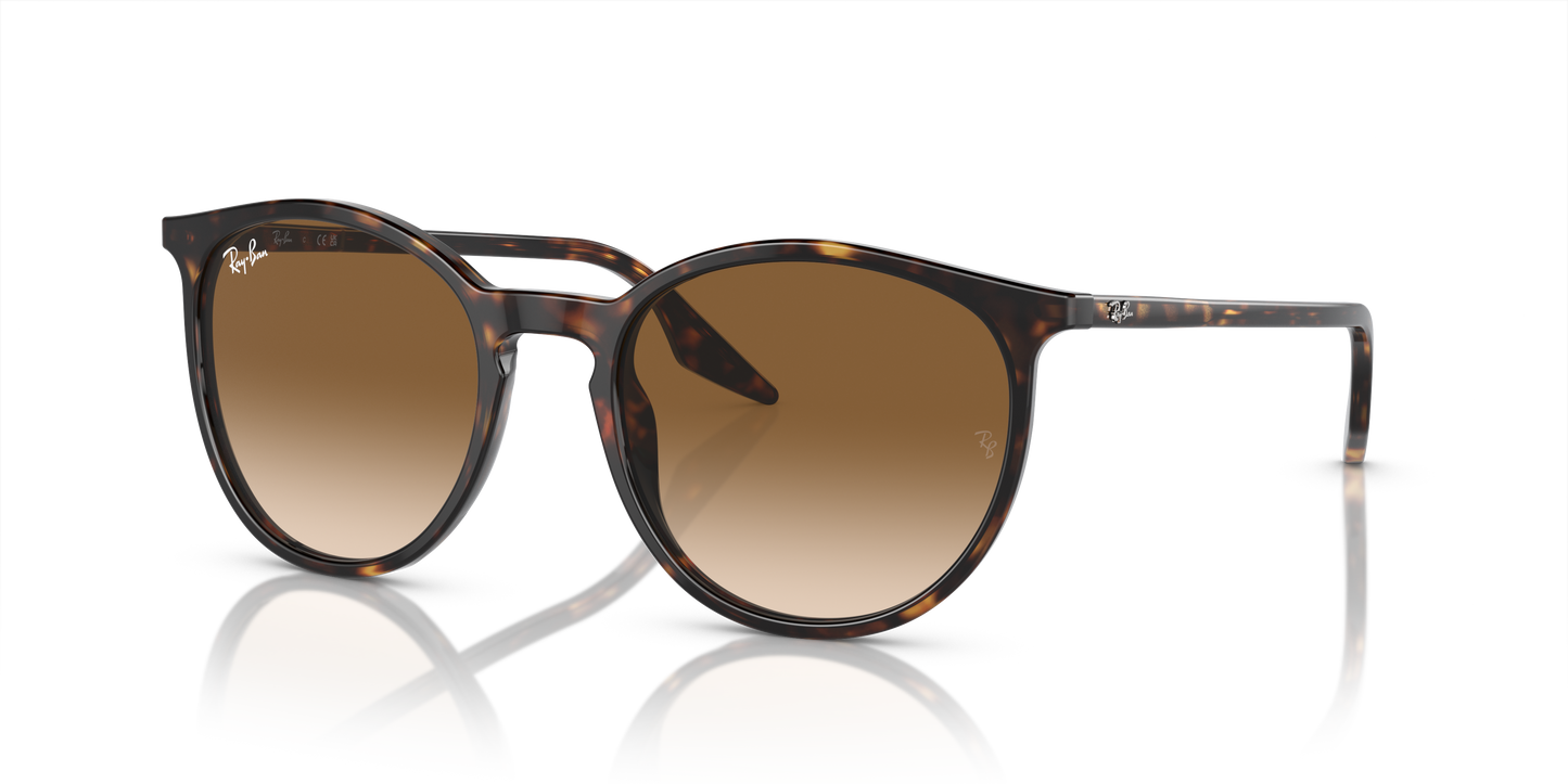 Ray-Ban Sunglasses RB2204 902/51