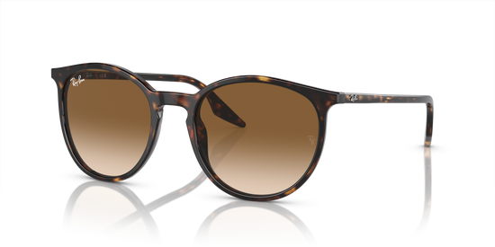 Ray-Ban Sunglasses RB2204 902/51