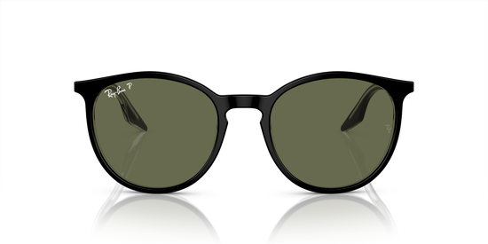 Ray-Ban Sunglasses RB2204 919/58