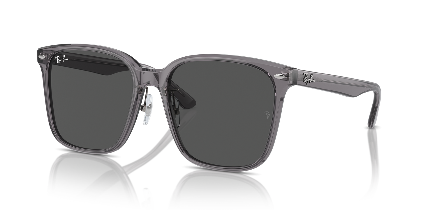 Ray-Ban Sunglasses RB2206D 139987