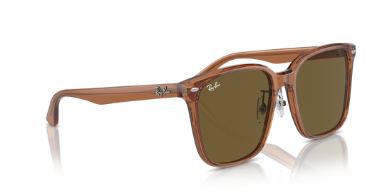 Ray-Ban Sunglasses RB2206D 663673