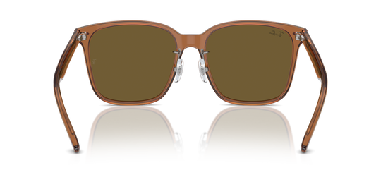 Ray-Ban Sunglasses RB2206D 663673