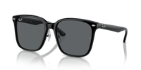 Ray-Ban RB2206D 901/87