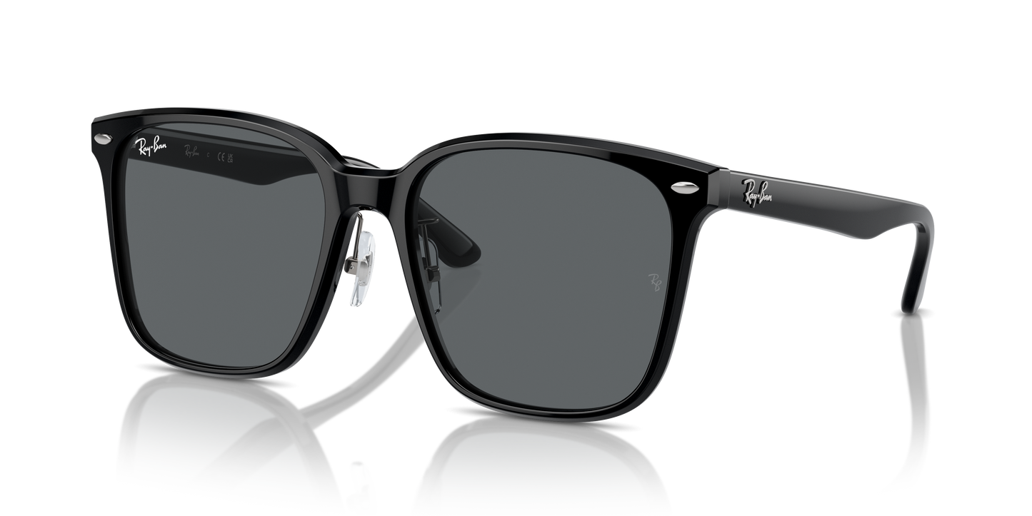 Ray-Ban Sunglasses RB2206D 901/87