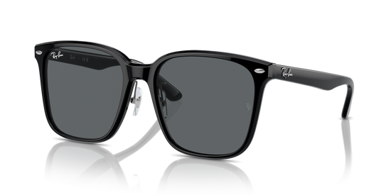 Ray-Ban Sunglasses RB2206D 901/87