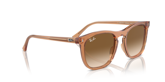 Ray-Ban Sunglasses RB2210 676451