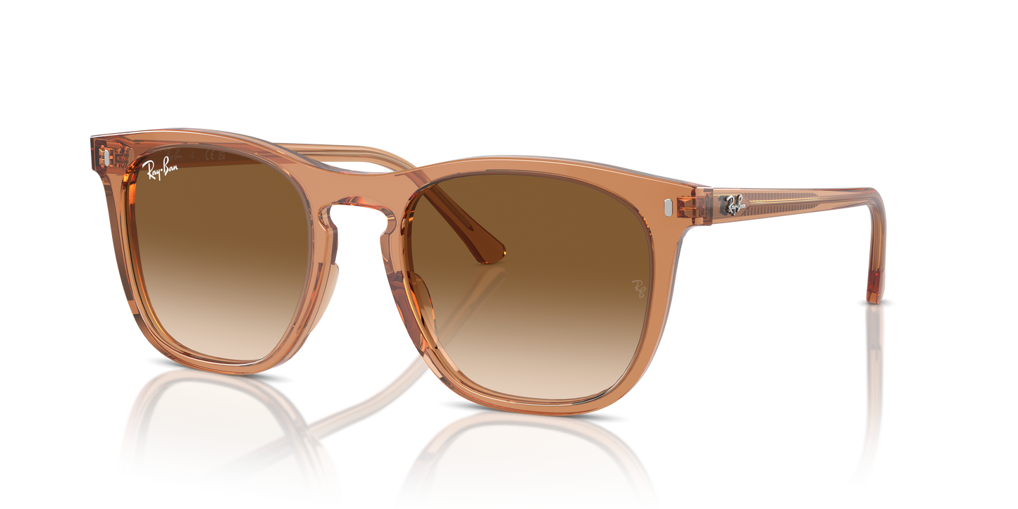 Ray-Ban Sunglasses RB2210 676451