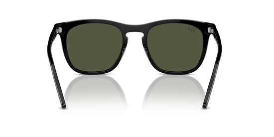 Ray-Ban Sunglasses RB2210 901/31