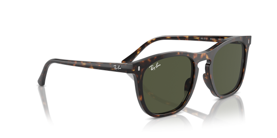 Ray-Ban Sunglasses RB2210 902/31