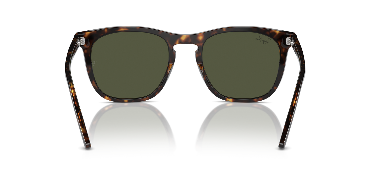 Ray-Ban Sunglasses RB2210 902/31