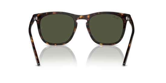 Ray-Ban Sunglasses RB2210 902/31