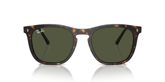 Ray-Ban Sunglasses RB2210 902/31