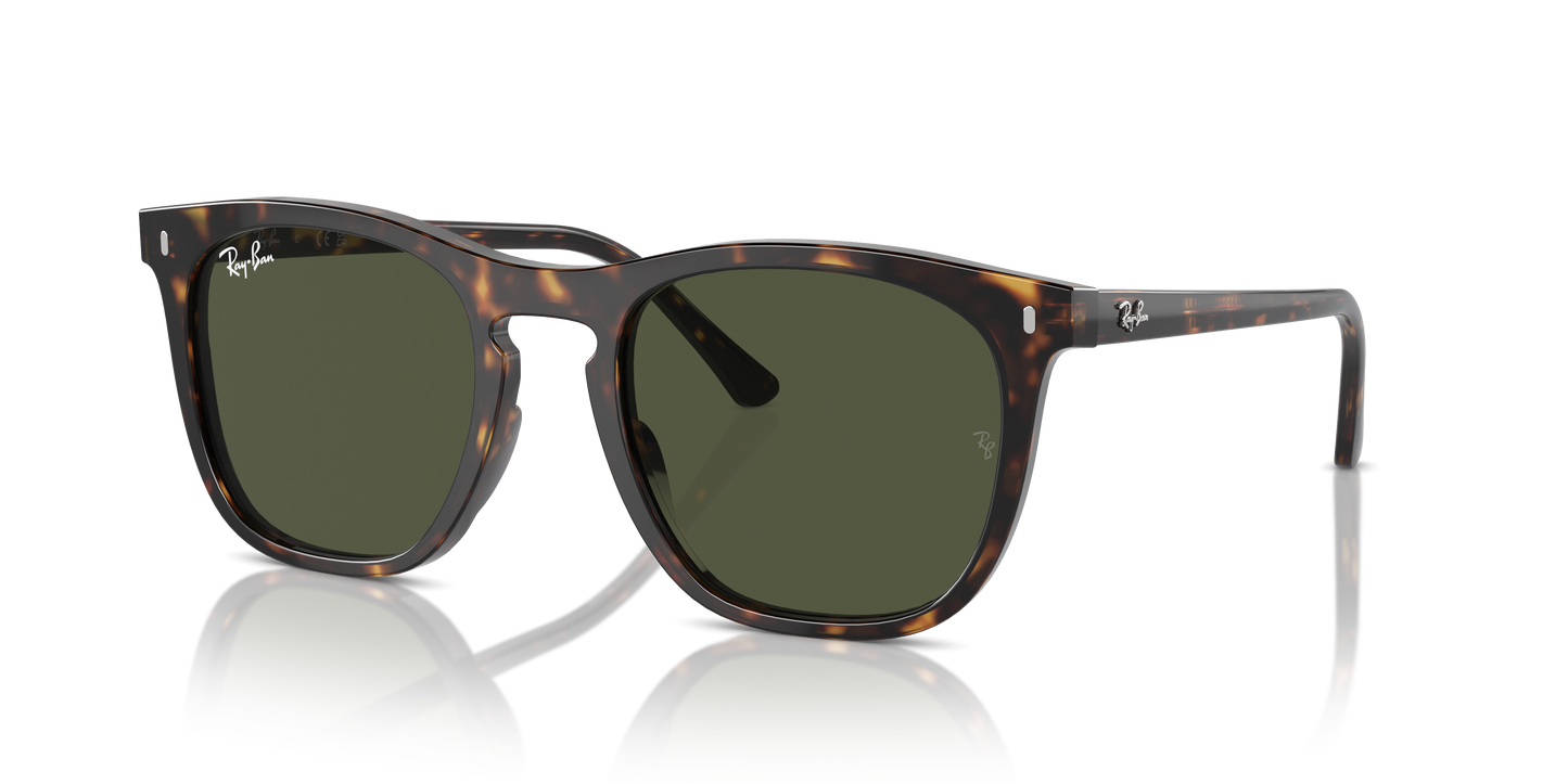 Ray-Ban Sunglasses RB2210 902/31