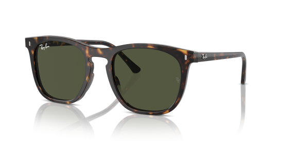 Ray-Ban Sunglasses RB2210 902/31