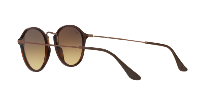 Ray-Ban Round Sunglasses RB2447N 62569U