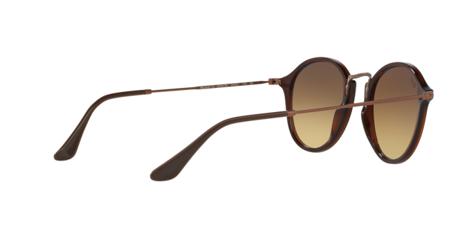 Ray-Ban Round Sunglasses RB2447N 62569U