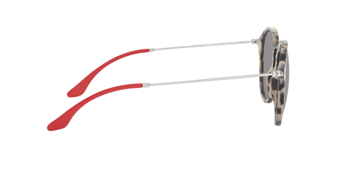 Ray-Ban Round Sunglasses RB2447 1247P2