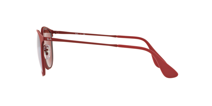 Ray-Ban Erika Metal Sunglasses RB3539 9023B5