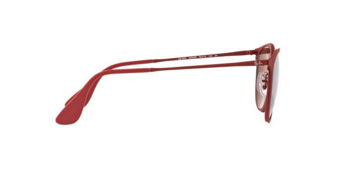 Ray-Ban Erika Metal Sunglasses RB3539 9023B5