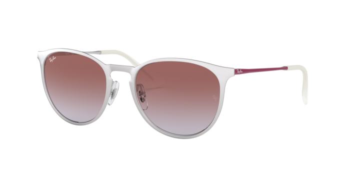 Ray-Ban Erika Metal Sunglasses RB3539 9079I8
