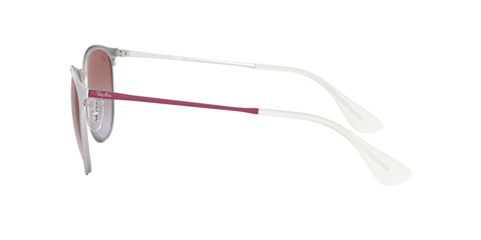 Ray-Ban Erika Metal Sunglasses RB3539 9079I8