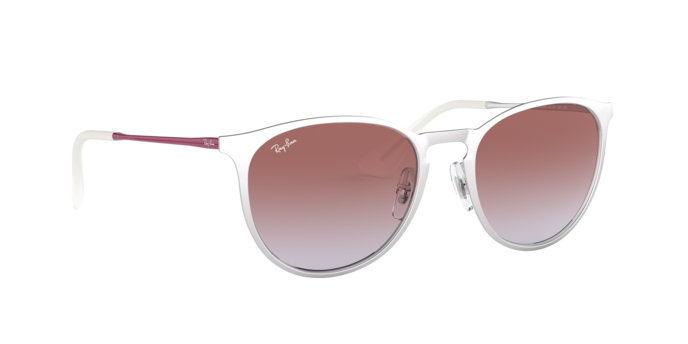 Ray-Ban Erika Metal Sunglasses RB3539 9079I8