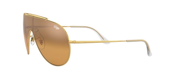 Ray-Ban Wings Sunglasses RB3597 9050Y1
