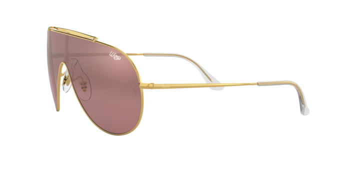 Ray-Ban Wings Sunglasses RB3597 9050Y2