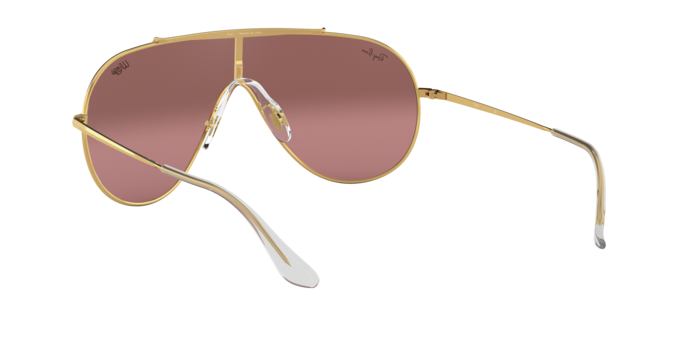 Ray-Ban Wings Sunglasses RB3597 9050Y2