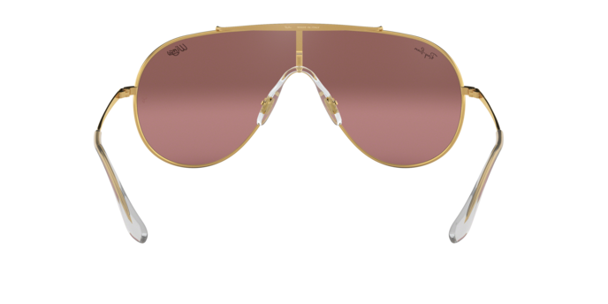 Ray-Ban Wings Sunglasses RB3597 9050Y2