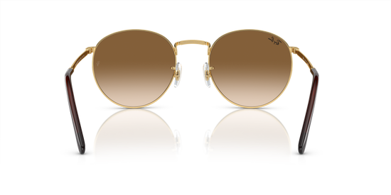 Ray-Ban New Round Sunglasses RB3637 001/51